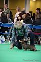 Crufts2011_2 1099